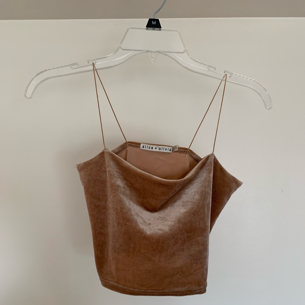 Alice and Olivia velvet top
